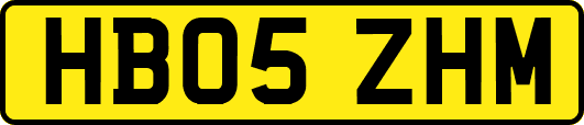 HB05ZHM