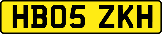 HB05ZKH