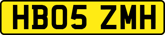 HB05ZMH