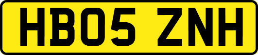 HB05ZNH