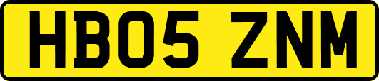 HB05ZNM
