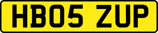 HB05ZUP