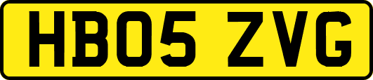 HB05ZVG