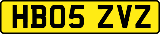 HB05ZVZ