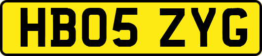 HB05ZYG