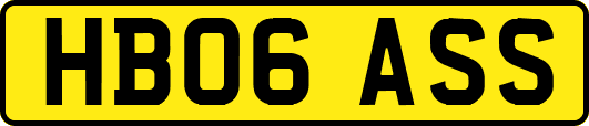 HB06ASS