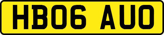 HB06AUO