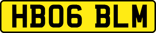 HB06BLM