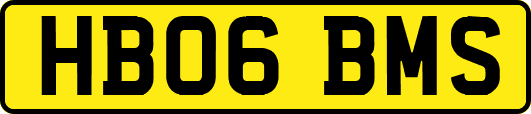 HB06BMS