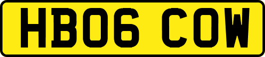 HB06COW