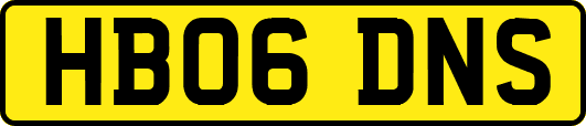 HB06DNS