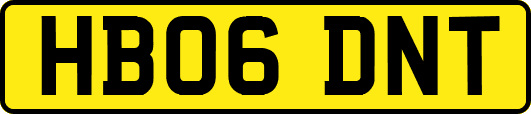 HB06DNT