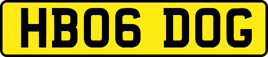 HB06DOG