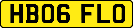 HB06FLO