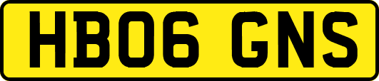 HB06GNS