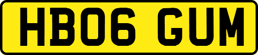 HB06GUM