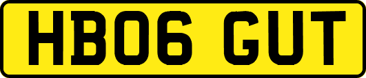 HB06GUT