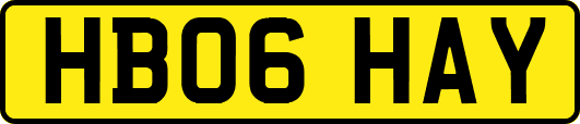 HB06HAY