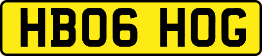 HB06HOG