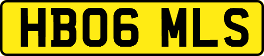 HB06MLS