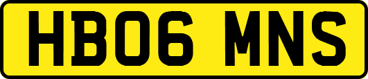 HB06MNS