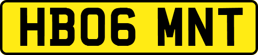 HB06MNT