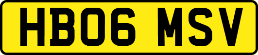 HB06MSV