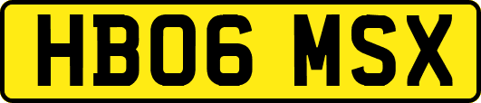 HB06MSX