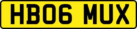HB06MUX