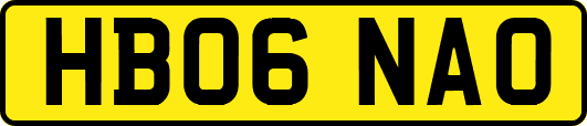 HB06NAO