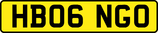 HB06NGO