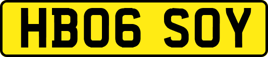 HB06SOY