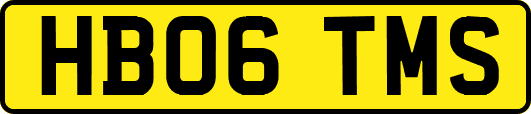 HB06TMS