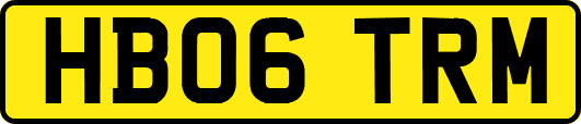 HB06TRM