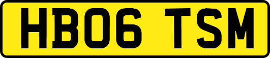 HB06TSM
