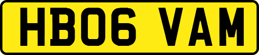 HB06VAM