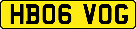 HB06VOG