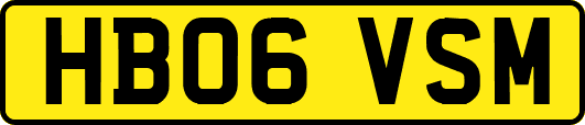 HB06VSM