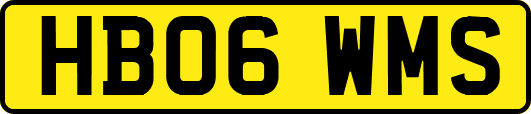HB06WMS