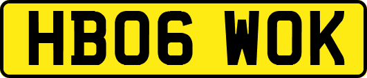 HB06WOK