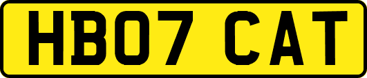 HB07CAT