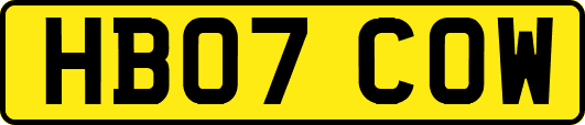 HB07COW