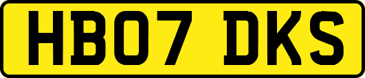 HB07DKS