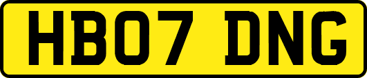 HB07DNG