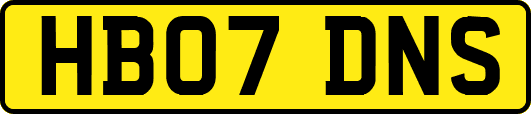 HB07DNS