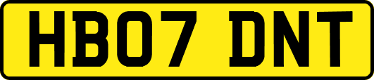 HB07DNT