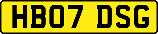 HB07DSG