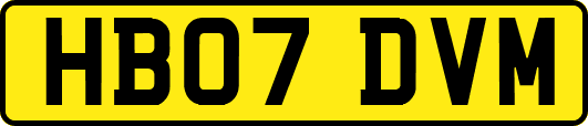 HB07DVM