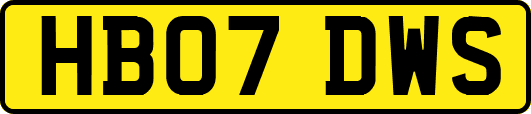 HB07DWS