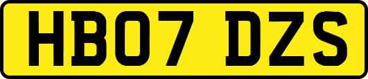HB07DZS